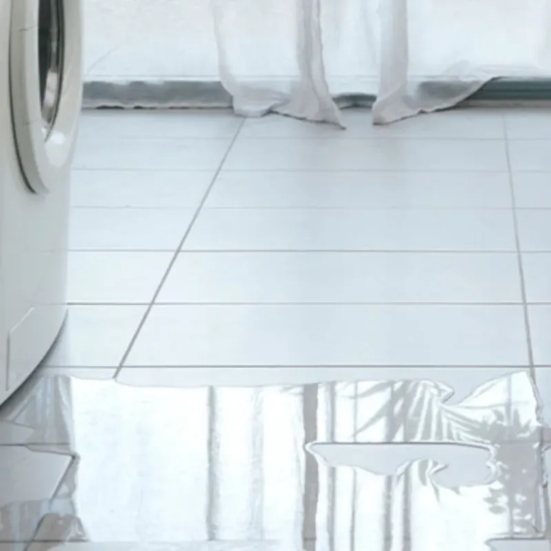 Appliance Leak Cleanup in Mazomanie, WI