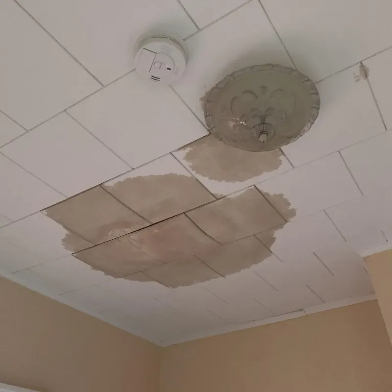 Ceiling Water Damage Repair in Mazomanie, WI