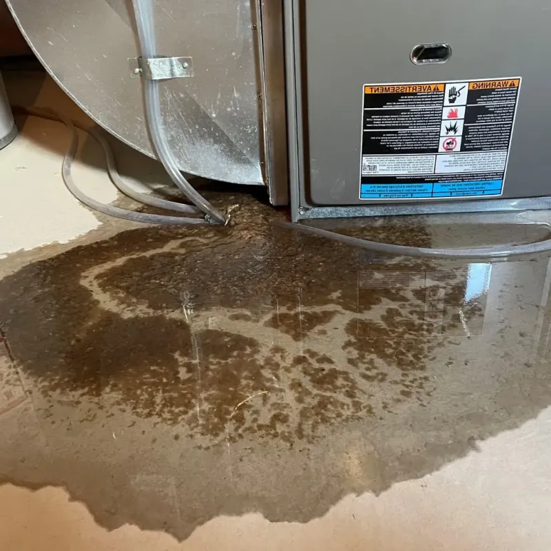 Pipe Burst and Leak Restoration in Mazomanie, WI